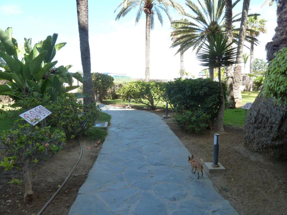 Studio In Top Lage Direkt Am Strand Arguineguin エクステリア 写真